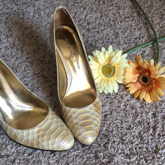 ANTONIO MELANI Shoes - Antonio Melani Neutral Gold Snakeskin Heels
